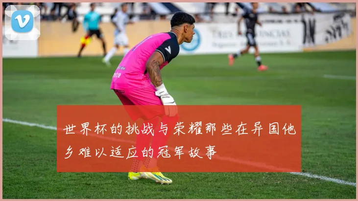 世界杯的挑战与荣耀那些在异国他乡难以适应的冠军故事