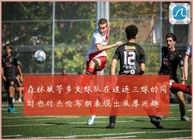 森林狼等多支球队在追逐三球的同时也对杰伦布朗表现出浓厚兴趣